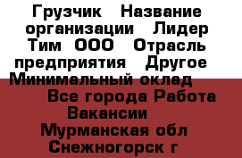 Грузчик › Название организации ­ Лидер Тим, ООО › Отрасль предприятия ­ Другое › Минимальный оклад ­ 11 000 - Все города Работа » Вакансии   . Мурманская обл.,Снежногорск г.